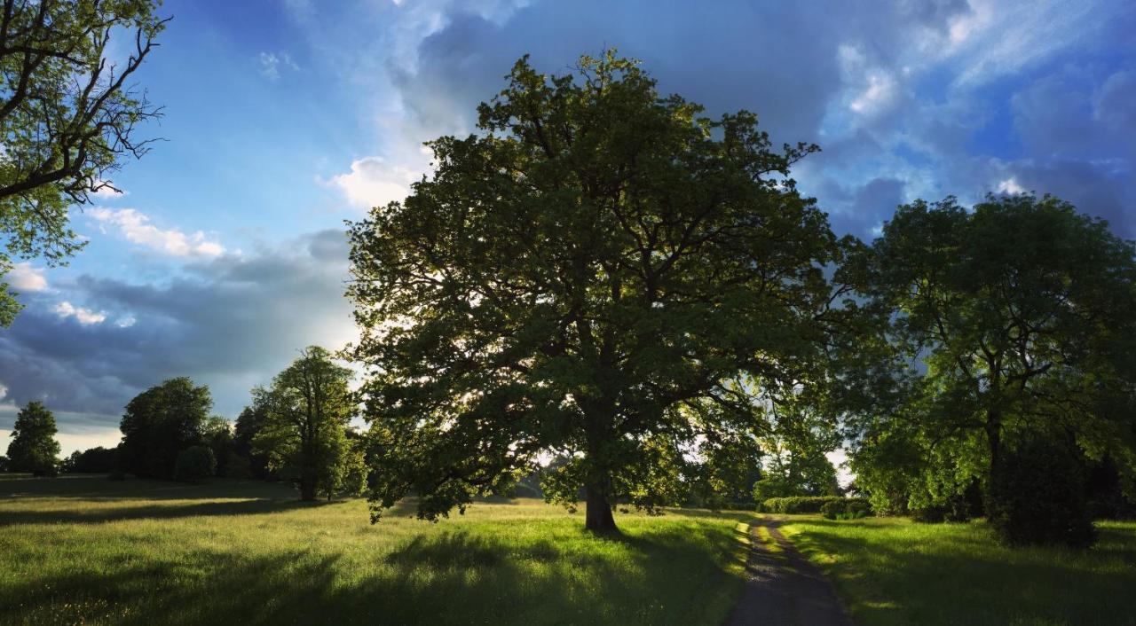 La Tiny Du Parc : Saint Symphorien Des Monts Villa Ernée Buitenkant foto